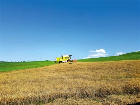 Farming in Switzerland