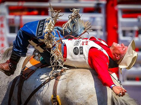 Calgary Stampede Rodeo - Day Four | Calgary Herald