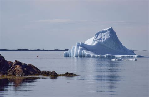 How To Find Icebergs and Other Natural Wonders in Newfoundland - Travel Bliss Now