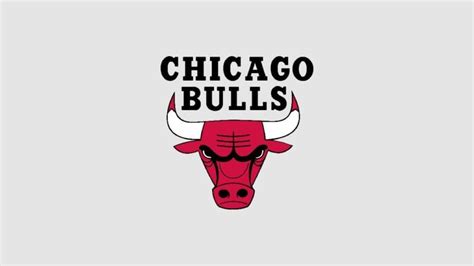 Chicago Bulls Color Codes: HEX, RGB, CMYK and Pantone