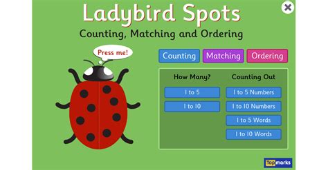 Ladybird Spots - Counting, Matching and Ordering game