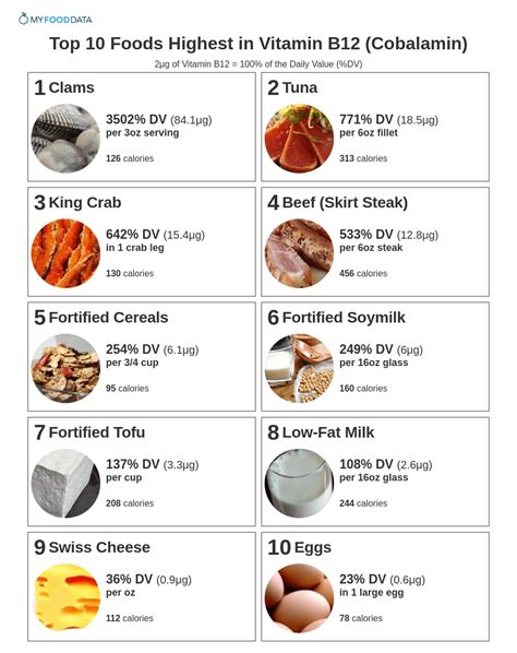 Top 10 Foods Highest in Vitamin B12 (Cobalamin)