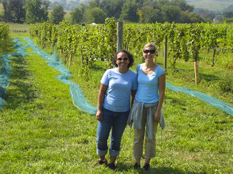 Grape Harvesting - Dusty & Marlina