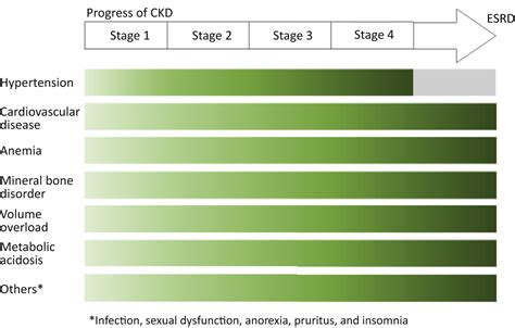 Complications of chronic kidney disease: current state, knowledge gaps ...