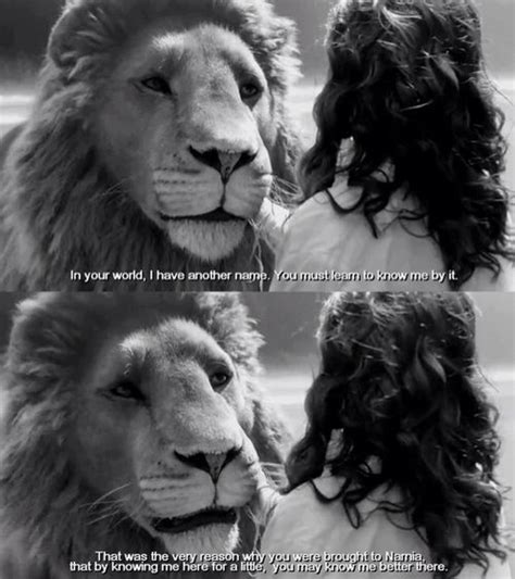 Aslan.. One of the best moments in that movie. Narnia Movies, Narnia 3 ...