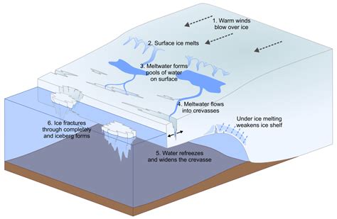 Brunt Ice Shelf isn’t collapsing, but the formation of the A81 iceberg ...