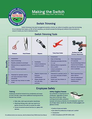 How to Transition Away from Tail Docking | National Dairy FARM Program