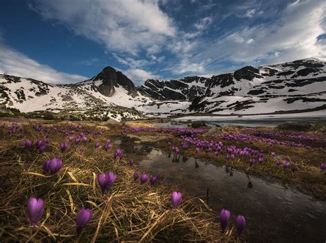 Spring in 7 Rila lakes on Behance