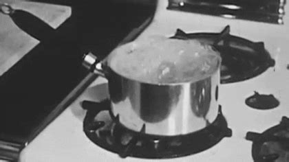 Boiling Water GIFs - Get the best GIF on GIPHY