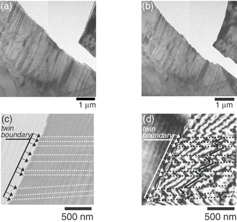 Micrographs of the magnetic domain structures in as-quenched ...