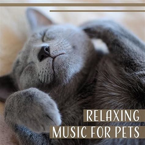 Relaxing Music for Pets – Calming Music for Dogs and Cats, Calm Down ...