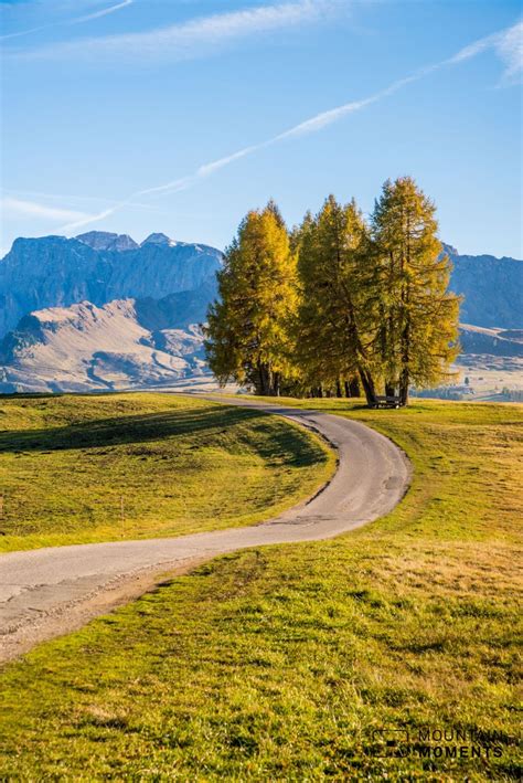 Long, Easy Hike! Explore Europe’s Largest Alpine Meadow on a memorable ...