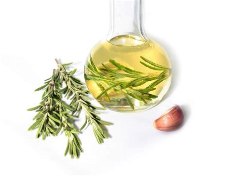 5 Most Useful Benefits of Rosemary Oil - MixArena