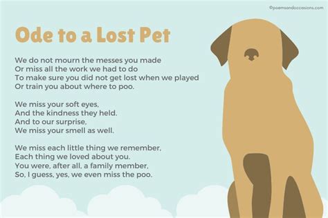 15+ Pet Memorial Poems | Pet poems, Pet loss poem, Dog poems