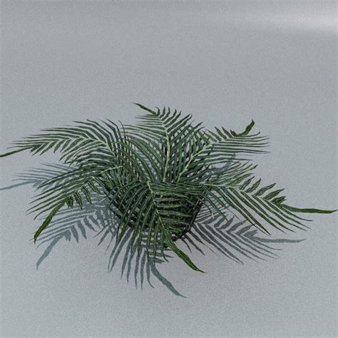 Set of Plant Tropic 1 - 3D Model by Ybreibyf