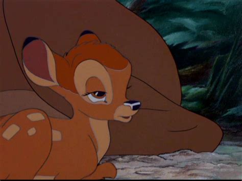 Bambi - Bambi Image (5769774) - Fanpop