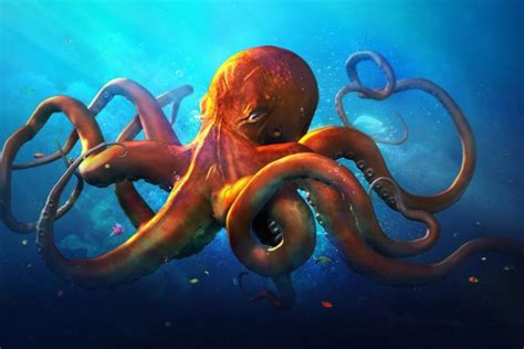 Octopus wallpaper ·① Download free stunning backgrounds for desktop and ...