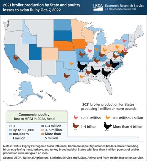 USDA Releases Map Showing Where Losses Of Broilers Have Occurred During ...