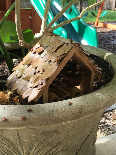 Ladybug Habitat | Outdoor decor, Bird house