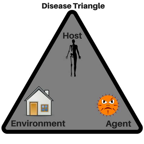 The Environment brings the Vector (Disease Triangle) - Elliott Killian