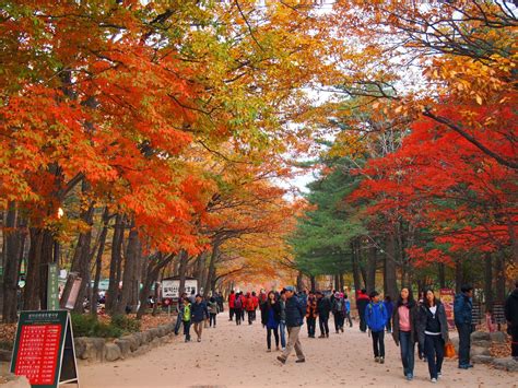 Final Fall Encounters at Seoraksan National Park | Koreabridge