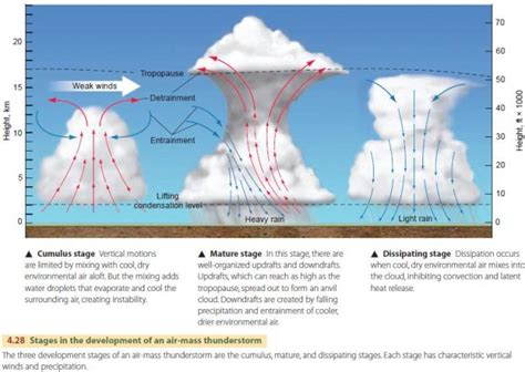 Thunderstorms