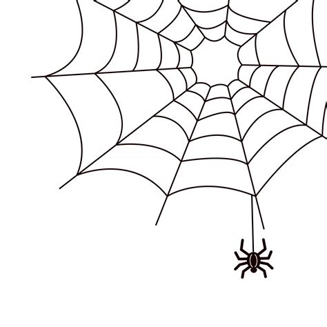 Cool Spider Web Drawings