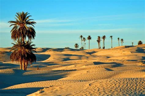 tunisie desert - Recherche Google | Mountain landscape, Photo, Backyard patio