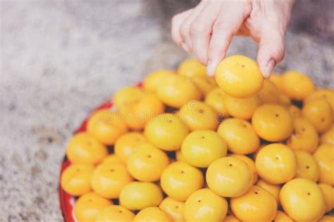 Gold Apple stock image. Image of nature, ebenaceae, fresh - 123135889