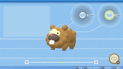 Shiny Bidoof Pokemon BDSP & Evolution Level Into Bibarel