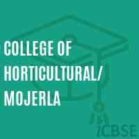 College of Horticultural/ Mojerla, Mahbubnagar - Fees, Admissions, Address and Reviews 2024