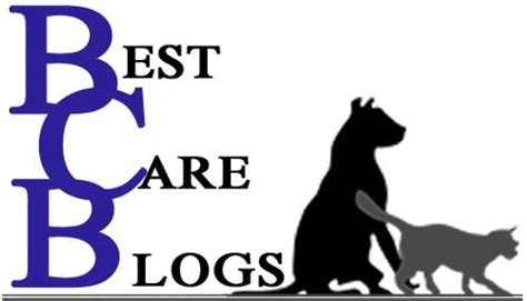 Best Care Pet Hospital In Omaha, Nebraska