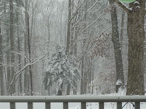 December In the Garden – Snow! – From My Carolina Home