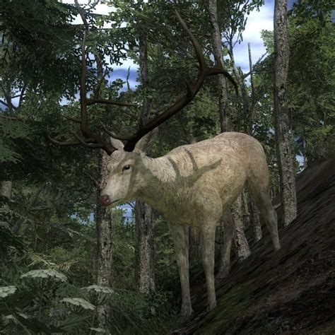 Image - Species ELK B albino.jpg | The Hunter Wikia | FANDOM powered by ...