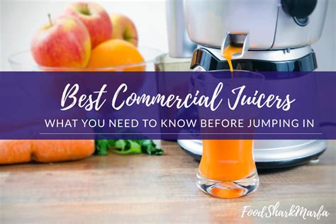 The 15 Best Commercial Juicers to Give You a Nutritious and Healthy Morning - Food Shark Marfa