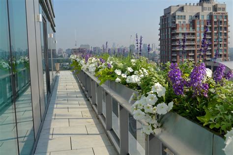 Urban Garden Design Toronto | Urban Garden Landscaping