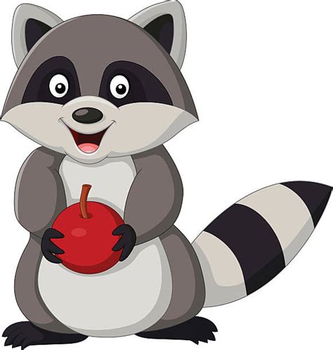 Royalty Free Raccoon Clip Art Clip Art, Vector Images & Illustrations - iStock