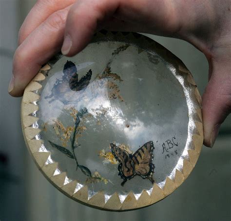 'Cobweb Painter' leaves behind fragile miniature masterpieces | AL.com