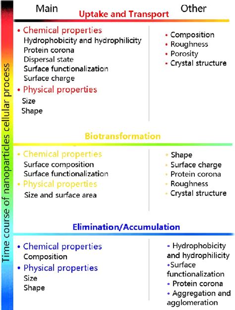 Physicochemical properties determine nanomaterial cellular uptake ...