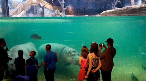 Adventure Aquarium Tours - Book Now | Expedia