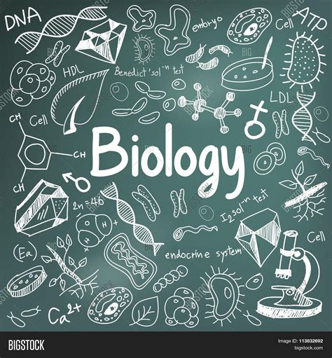 🔥 Download Background Biology On by @susans48 | Biology Science ...