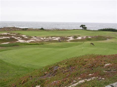 Pacific Grove Golf Course | Nicknamed the poor man's pebble,… | Flickr