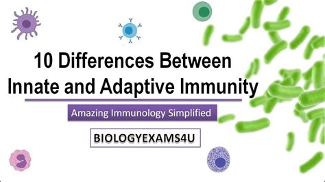 Difference Between Innate and Adaptive Immunity