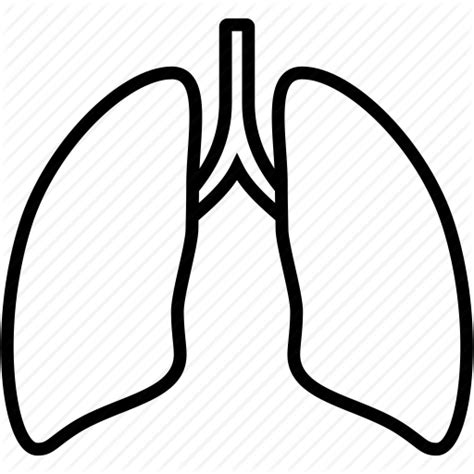 Lungs clipart lung outline, Lungs lung outline Transparent FREE for download on WebStockReview 2024