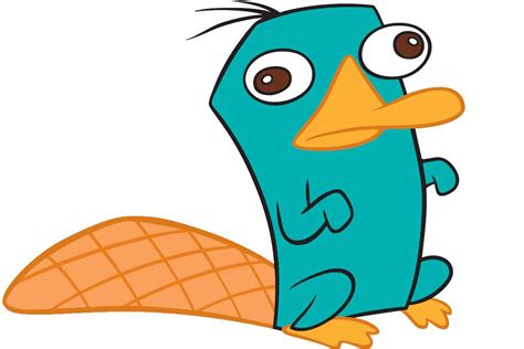 How To Draw Perry The Platypus - Trackreply4