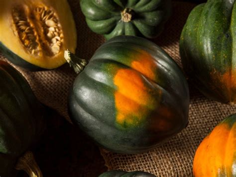 Harvesting Acorn Squash: How And When To Harvest Acorn Squash