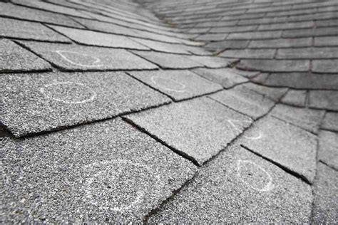 Do I Need a New Roof After a Storm? | Best Pick Reports