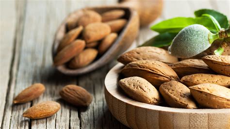 Everything You Need To Know About Almonds