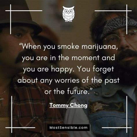 Cheech and Chong Quotes (Most Famous and Funny)