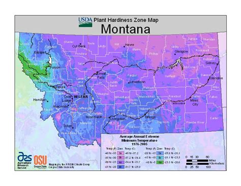 Montana USDA Plant Hardiness Zone Map - Ray Garden Day